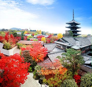 京都らしさと非日常が共存し、八坂の塔のふもとで、清水寺や八坂神社へは歩いて行ける所に位置し、日本の歴史が残る街です。
建物は日本画の巨匠、竹内栖鳳が構えた約90年前の邸宅をリノベーションした日本家屋。四季によってさまざまな景色が楽しめる広い庭園が広がります。