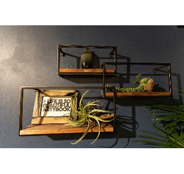 LAYOUT