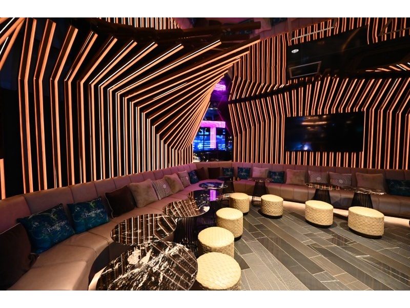 Karaoke VIP Area