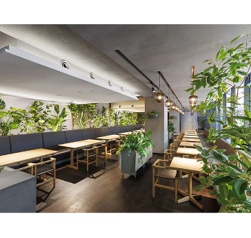 Hyssop/ヒソップ　@ GOOD NATURE HOTEL