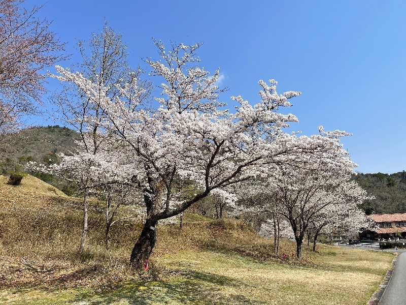 はさまじ里山の森公園　Camp　Areaの画像3枚目