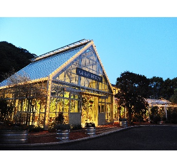 SOLA CAFE