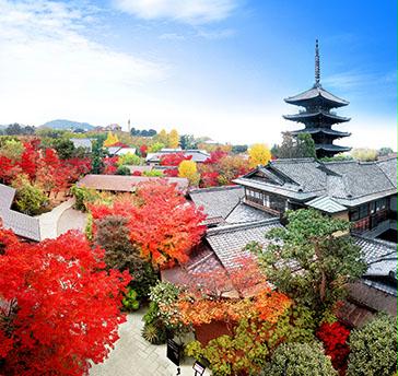 京都らしさと非日常が共存し、八坂の塔のふもとで、清水寺や八坂神社へは歩いて行ける所に位置し、日本の歴史が残る街です。
建物は日本画の巨匠、竹内栖鳳が構えた約90年前の邸宅をリノベーションした日本家屋。四季によってさまざまな景色が楽しめる広い庭園が広がります。