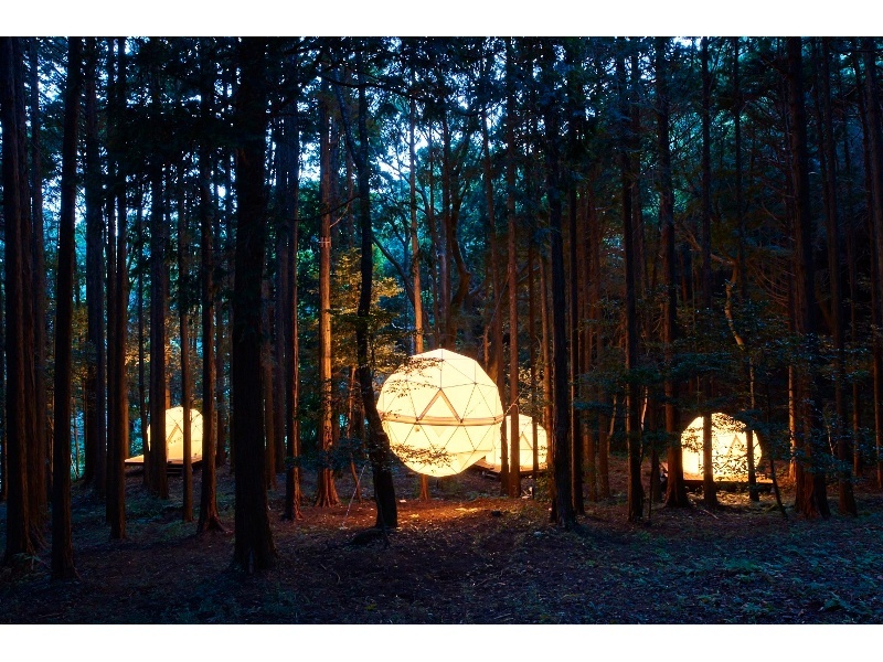 森に浮かぶ球体テント