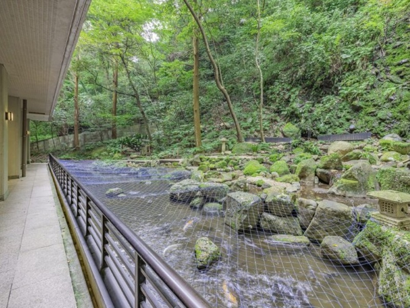 箱根路開雲の画像5枚目