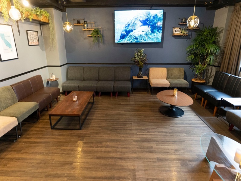 LAYOUT
