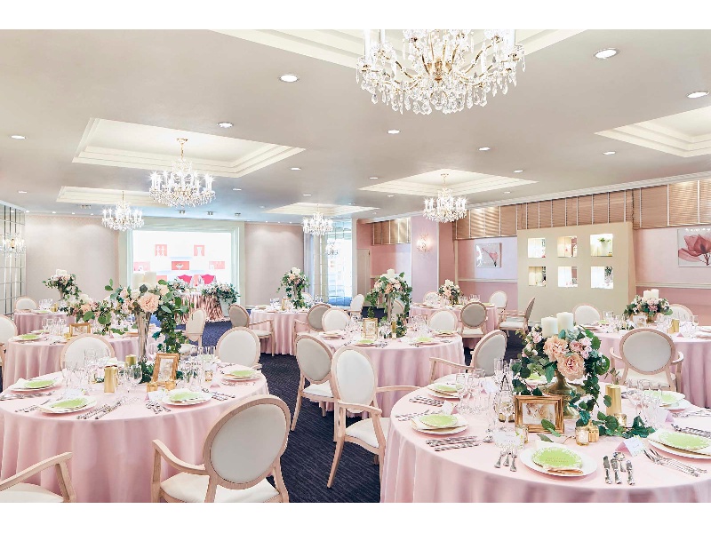 【フェアリー】215㎡/65坪
■着席～84名様
■立食～120名様
■スクール形式～132名様
■シアター形式～180名様
明るく華やかな会場。