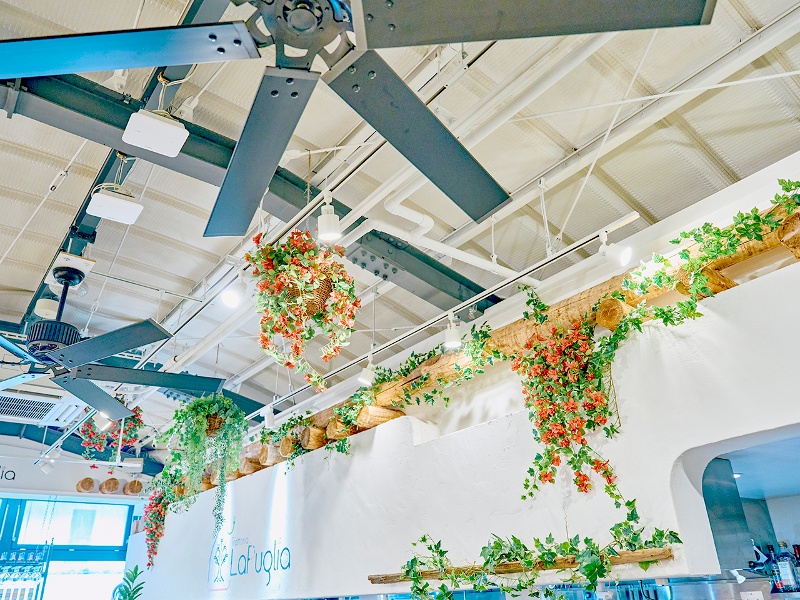 ☆… 緑がゆれるナチュラル空間 …☆
自然の光が差し込むナチュラル空間。
リラックスした時間をお過ごしいただけます。