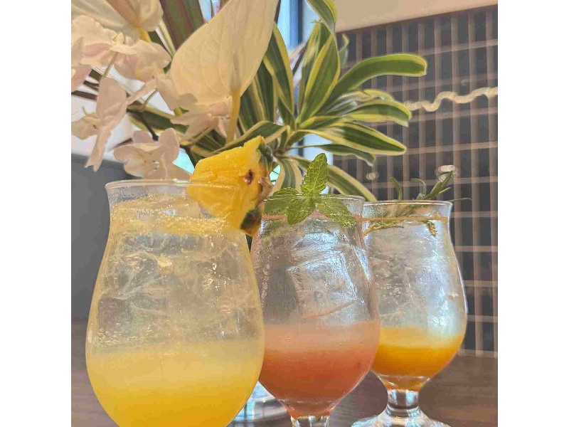 懇親会や暑気払いにおすすめ！スペシャルコース（料理12品、ドリンク27種