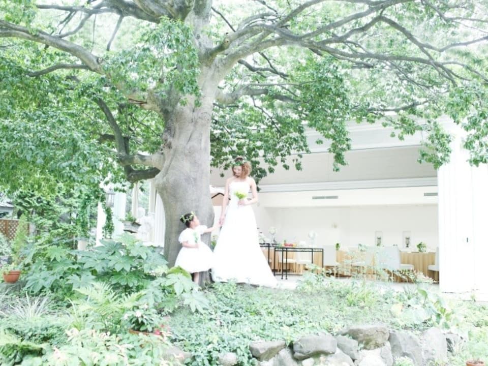 緑の庭続きのパーティー会場