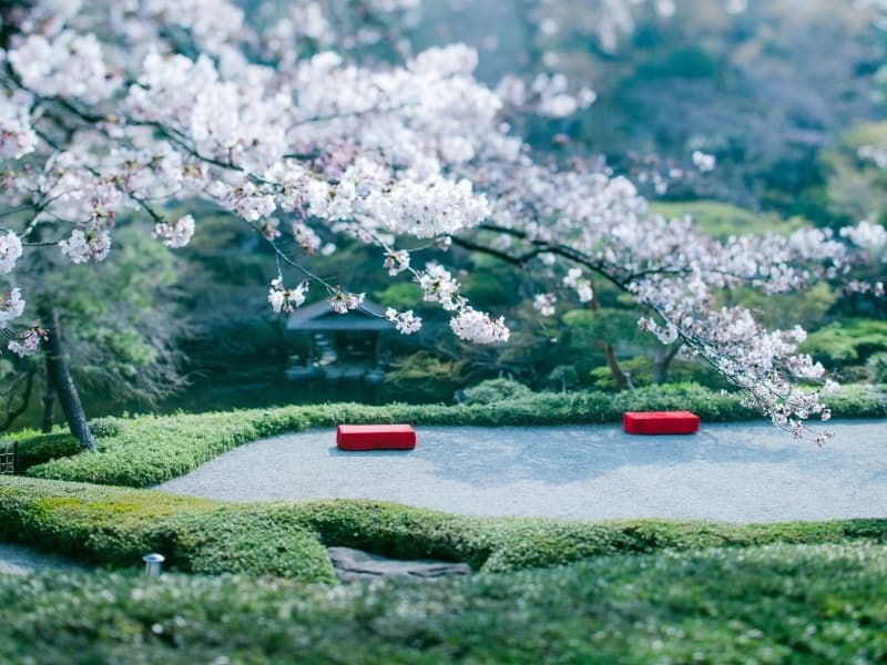 写真7枚目