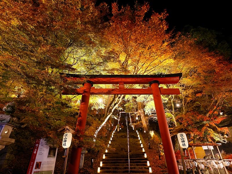 【談山神社】大鳥居：紅葉ライトアップ