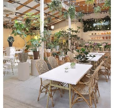 植物に囲まれた非日常感のある空間でお食事をお楽しみください。