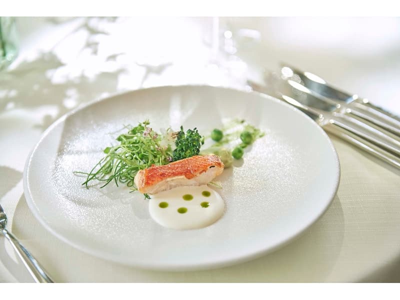【料理のこだわり】
熊本の旬の食材を活かしフレンチをベースに和の技と感性を取り入れた“フレンチジャポネ”。一番美味しいタイミングで、五感に響く“最高の一皿”をご提供いたします。