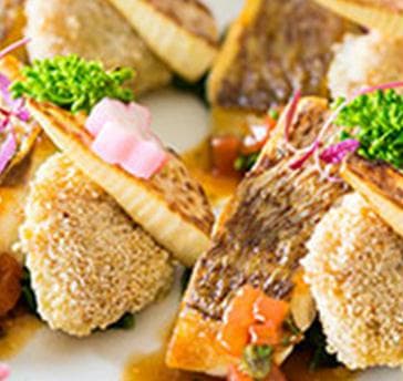 料理イメージ