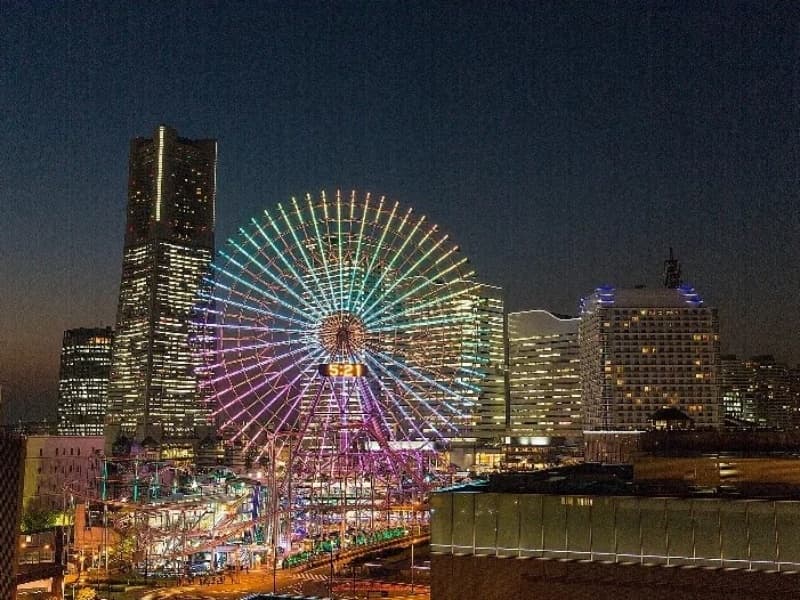 写真11枚目
