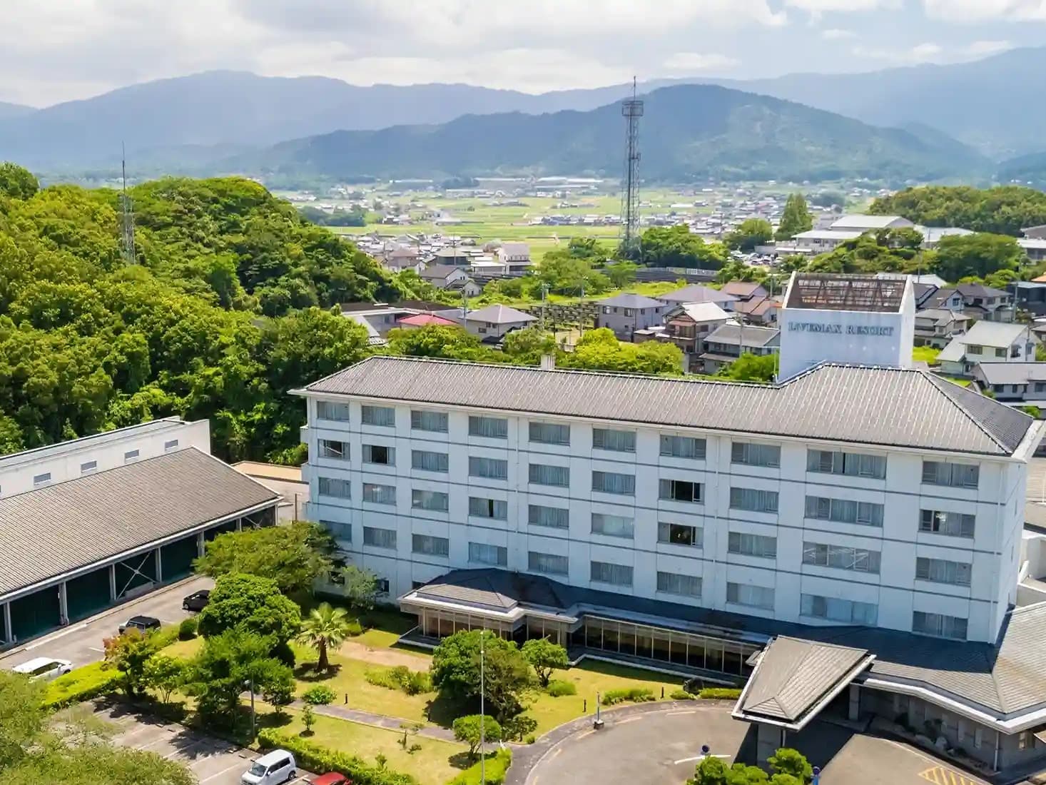 写真3枚目