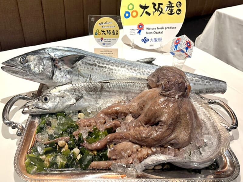 大阪湾の鮮魚を中心に地魚にこだわる