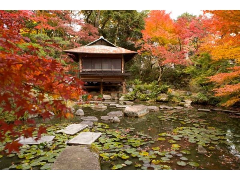 【日本庭園】
日本庭園内には２つの国登録文化財である茶室の「真珠邸」、離れの「松風閣」があり、秋には紅葉が見事な美しい名勝庭園です。