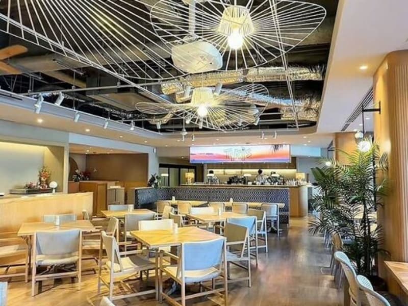 開放的な店内はトロピカルな天井装飾とナチュラルなリゾート空間で様々なご宴会シーンにぴったりです。大型スクリーン、プロジェクター・音響設備なども完備しているので、盛り上がること間違いなしです。