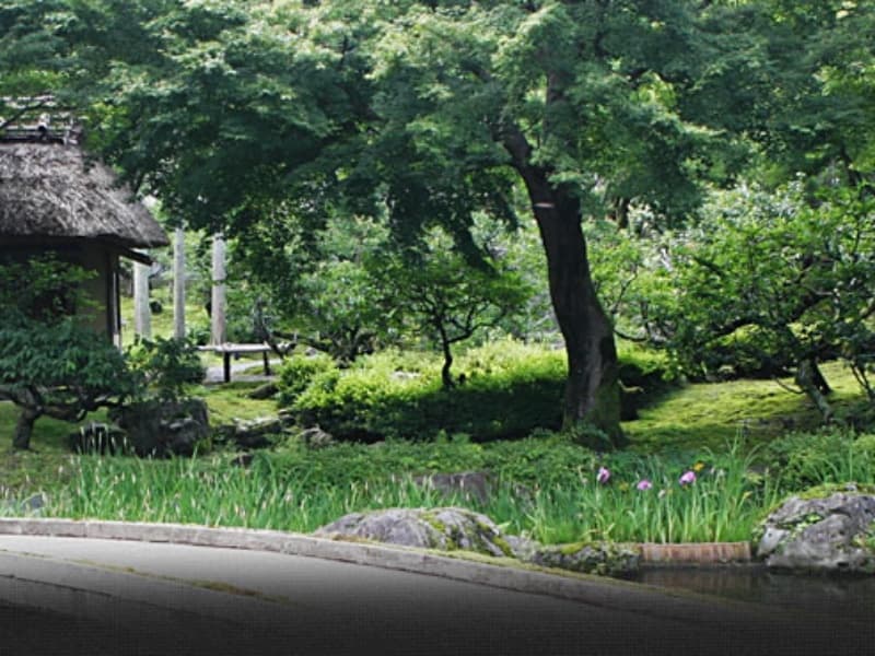 京都洛北の鷹ケ峯三山に広がる美しい庭