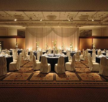 金枝　フルコーススタイル

天井が高く開放感のある会場は、ご会食や会議などあらゆるシーンで活躍し、落ち着きのある雰囲気が集う方々をゆったりと包み込む優雅なスペースです。



