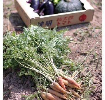 ◆低農薬や無農薬で手塩にかけて育てられた野菜は、「味が濃くて美味しい」とご好評いただいております。