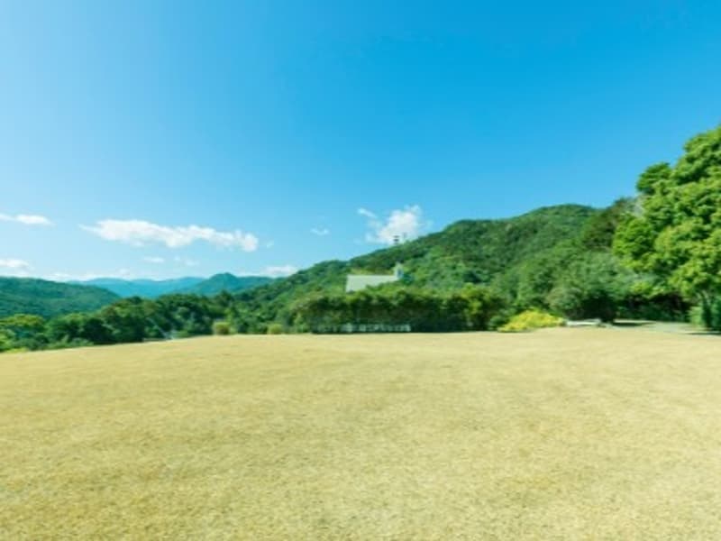 当館すぐ隣には、自由に遊べる芝生のふれあい広場があり、お子さまがのびのびと過ごせる安心のスペースです。