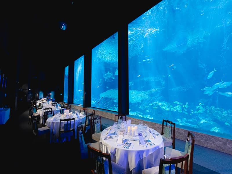 【水族館ケータリング】マリンワールド貸切パーティー/大水槽前で過ごす、全館貸切だからこそ叶う特別な時間。ファミリーデー・周年パーティー・レセプションにて実績多数。