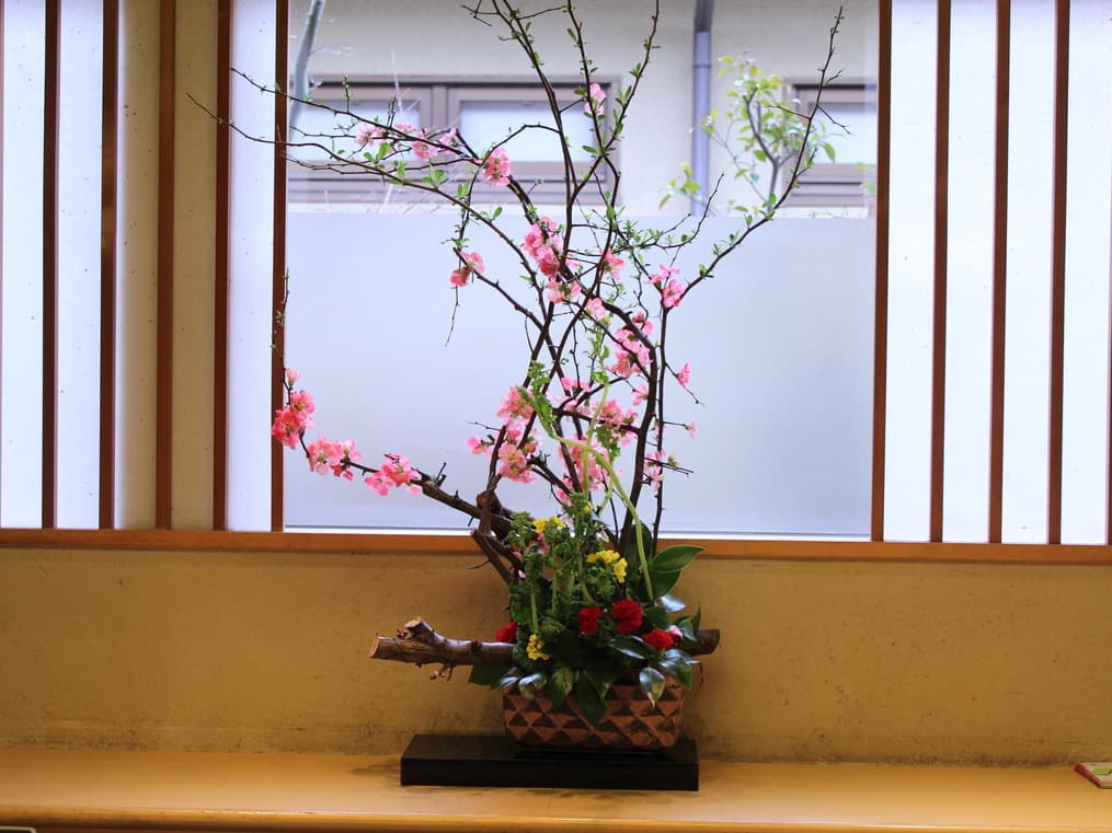 写真23枚目