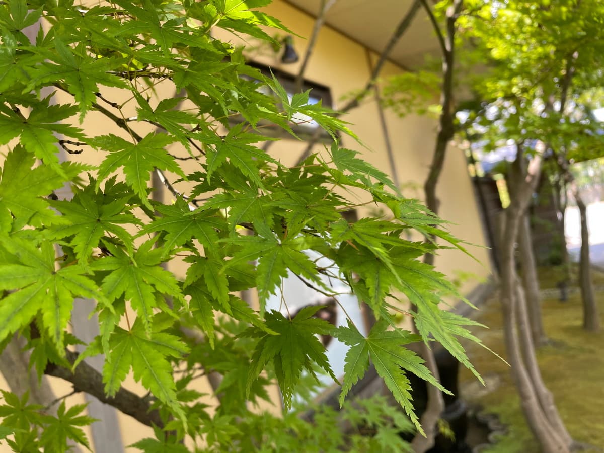 写真22枚目