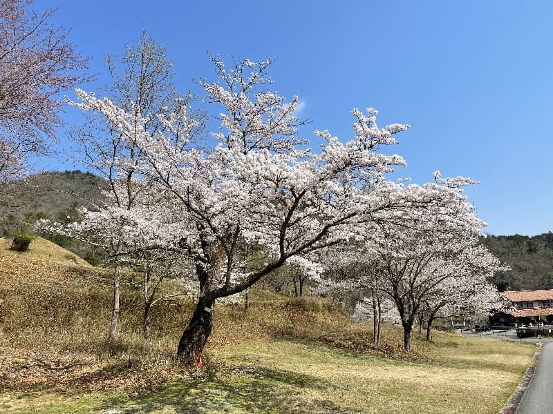 はさまじ里山の森公園　Camp　Areaの画像3枚目