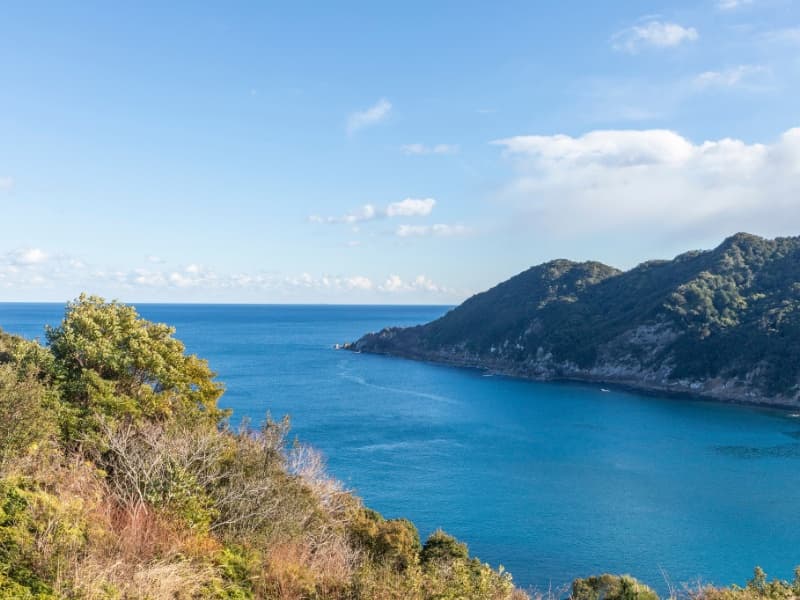 静かな海景と太平洋の光を感じながら、心ゆくまでお寛ぎいただけます。