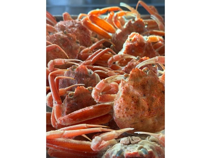 旬の食材をお楽しみいただけます