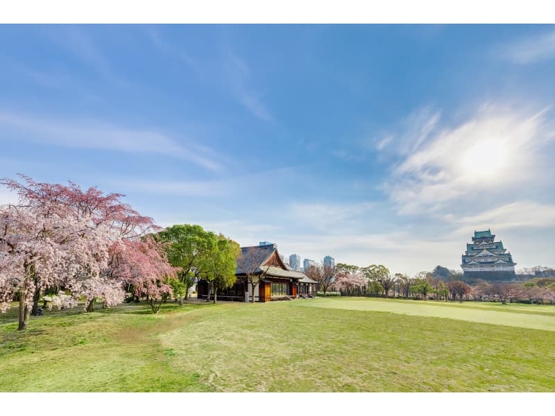 春は大阪屈指の桜の名所として知られ、初夏にはツツジや秋の紅葉、冬の寒椿など四季折々の表情を楽しめるロケーション。