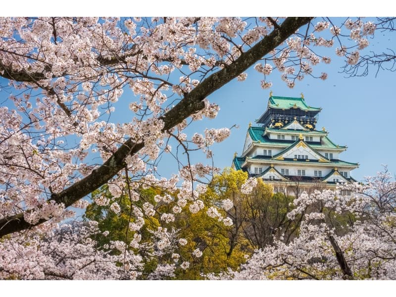 春は大阪屈指の桜の名所として知られ、初夏にはツツジや秋の紅葉、冬の寒椿など四季折々の表情を楽しめるロケーション。