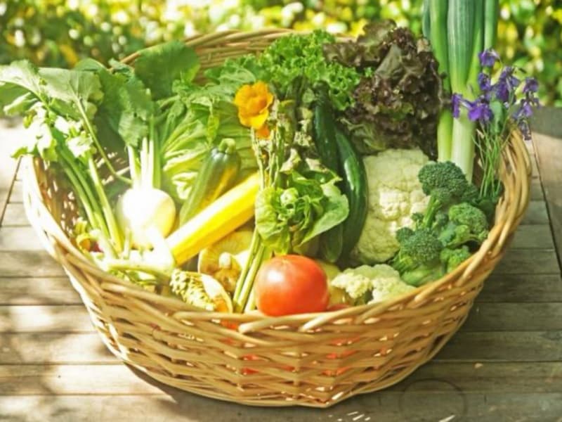地元「大子町」で作られるお野菜を中心とした「素材」を使い、在籍する2名の野菜ソムリエが出来るだけ素直な形でそのままの美味しさを表現します。