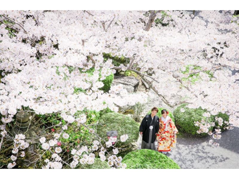 春は桜満開の中、入社式の記念撮影にもオススメ