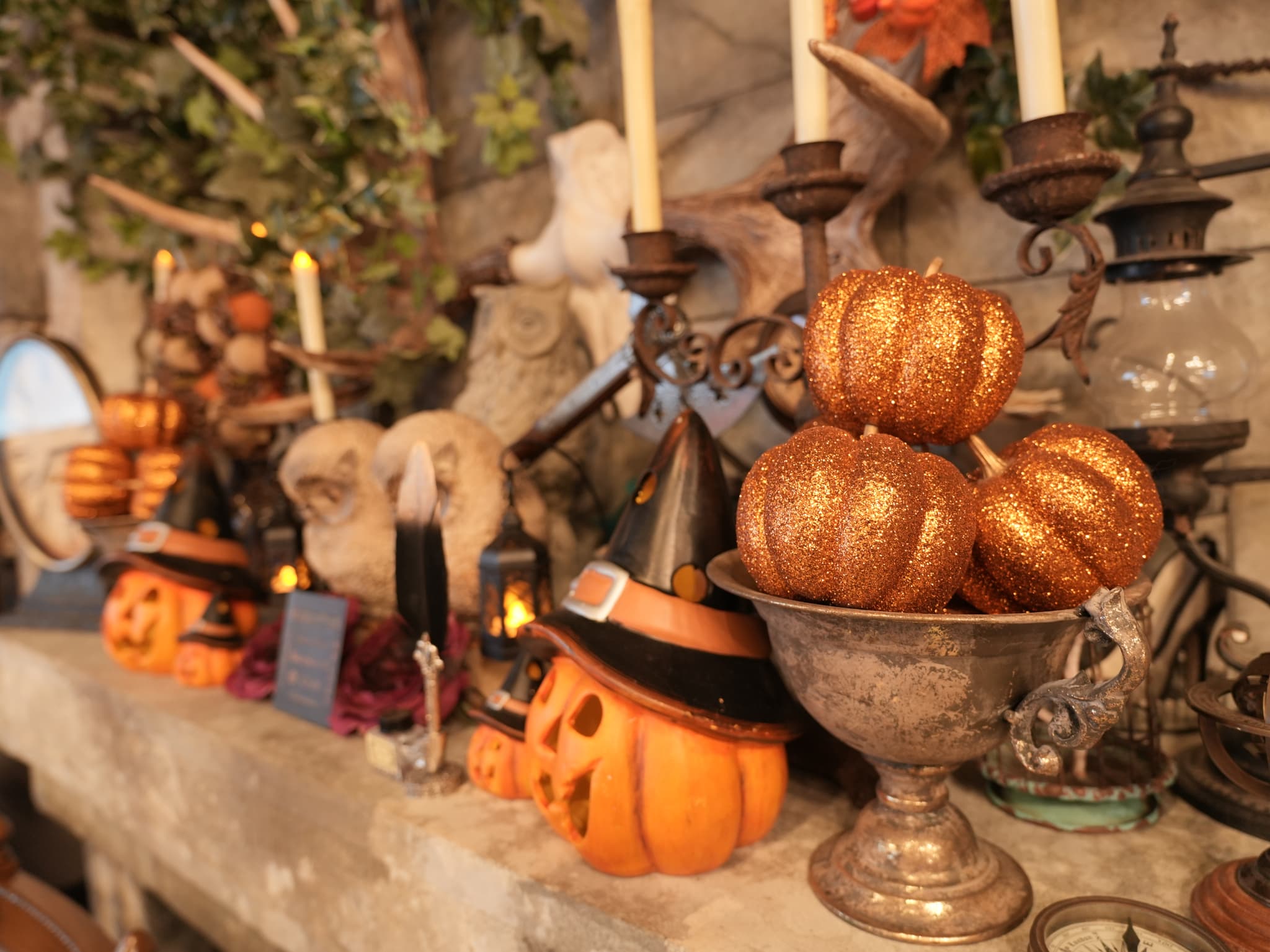 🎃10/31まで期間限定ハロウィンデザイン🎃今だけしか出会えない装飾とお料理を楽しめます