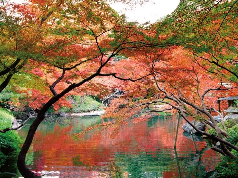 写真9枚目