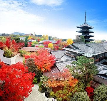 京都らしさと非日常が共存し、八坂の塔のふもとで、清水寺や八坂神社へは歩いて行ける所に位置し、日本の歴史が残る街です。
建物は日本画の巨匠、竹内栖鳳が構えた約90年前の邸宅をリノベーションした日本家屋。四季によってさまざまな景色が楽しめる広い庭園が広がります。