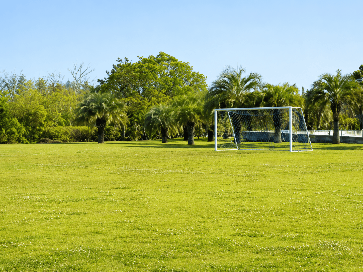 「サッカー場」
蓮沼海浜公園内／広さ：70m×40m／利用時間：9:00～17:00