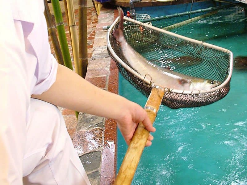 写真23枚目