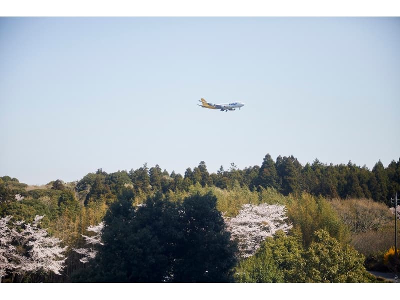 各航空会社の飛行機も見えます