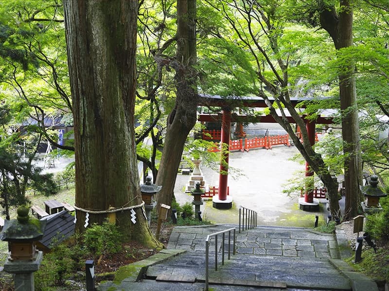 【談山神社】大鳥居：緑の境内