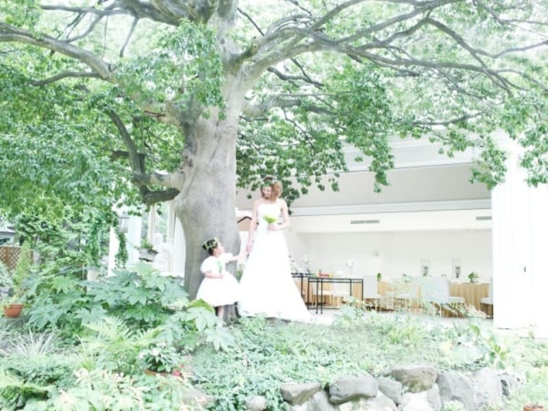 緑の庭続きのパーティー会場