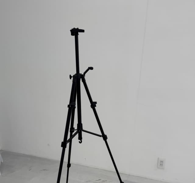 写真24枚目