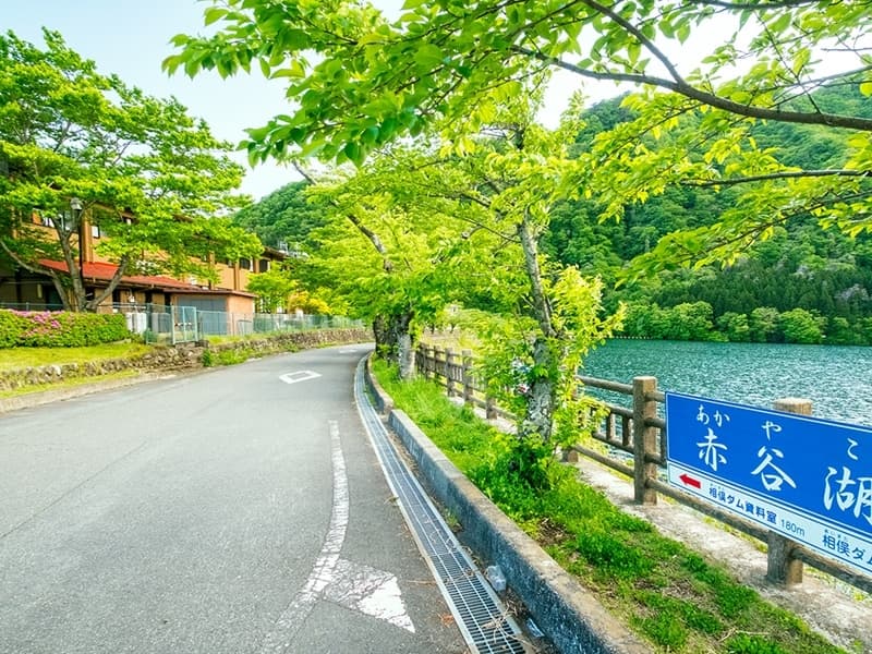 写真18枚目