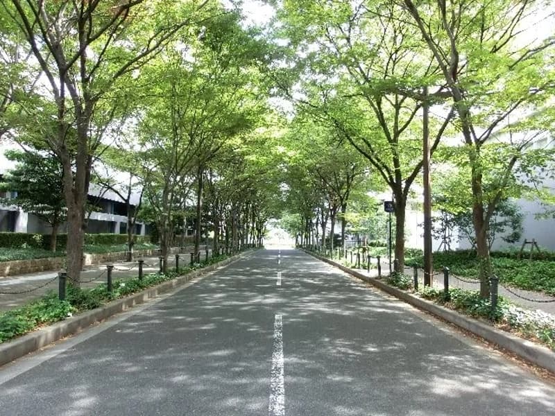 大阪南港に位置しており、 中心部からも好アクセス。
閑静な環境が整っており、集中して実施したい研修・会議には最適な場所です