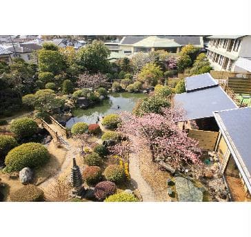日本庭園の宿を謳うサンバレー伊豆長岡が誇る和庭園を様々な角度からお楽しみ下さい。
